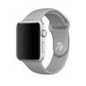 Pasek Apple Watch 1/2/3/4 TECH-PROTECT Smoothband 42/44 Mm Szary Fog